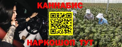 гидропоника Будённовск