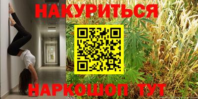 гидропоника Будённовск