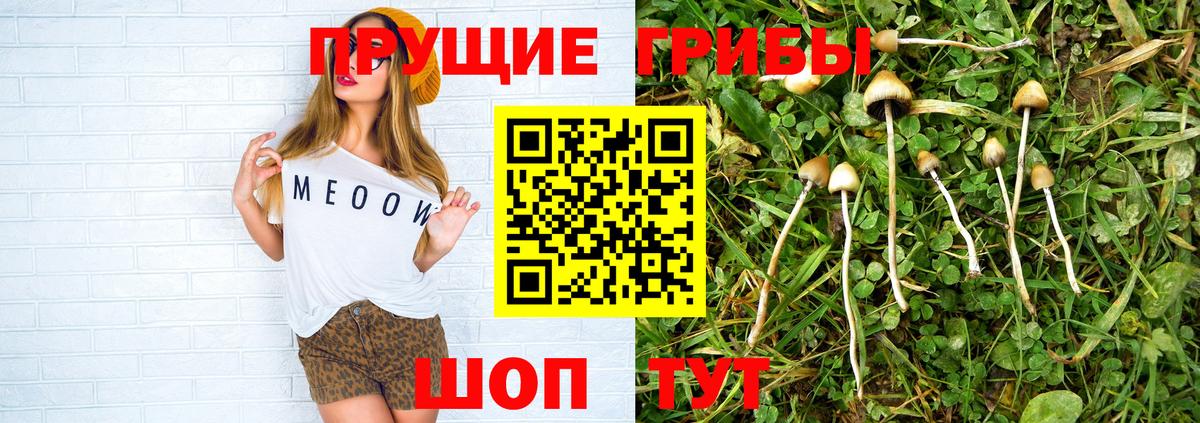 Псилоцибиновые грибы Cubensis Мирный