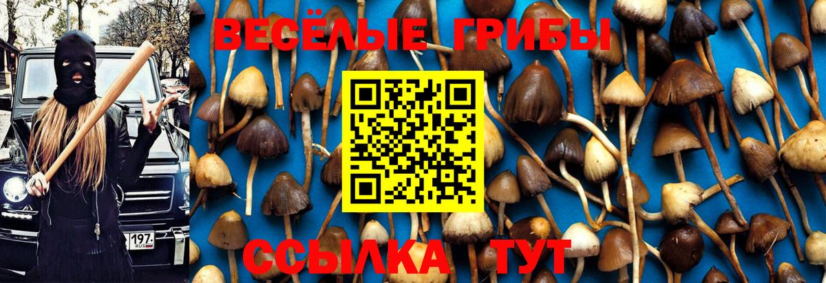 Мирный  Галлюциногенные грибы прущие грибы  Псилоцибиновые грибы ЛСД  Вход с VPN 