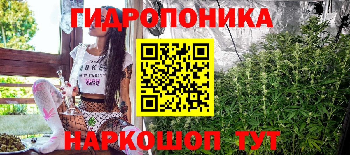 Марихуана White Widow Мирный